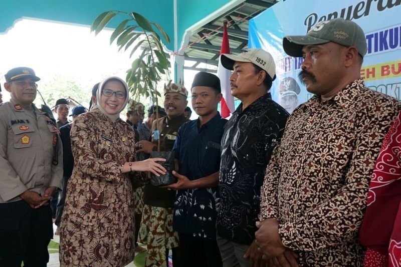 Pemkab Lumajang Dorong Ekonomi Pegunungan lewat Budidaya Durian Montong