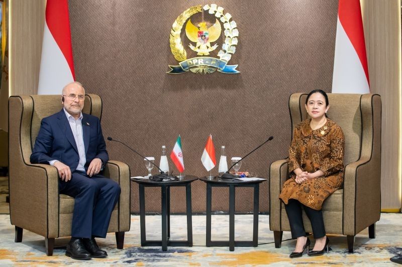Puan Maharani Jajaki Kerja Sama Ekonomi dan Perdagangan dengan Tiga Negara OKI