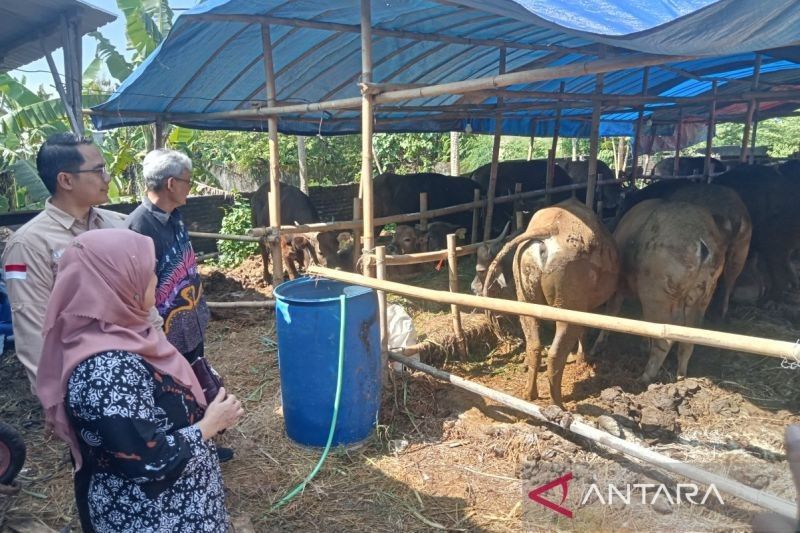 TPID DIY Pantau Ketersediaan Hewan Kurban di Bantul Jelang Idul Adha: Antisipasi Lonjakan Harga dan Penurunan Permintaan