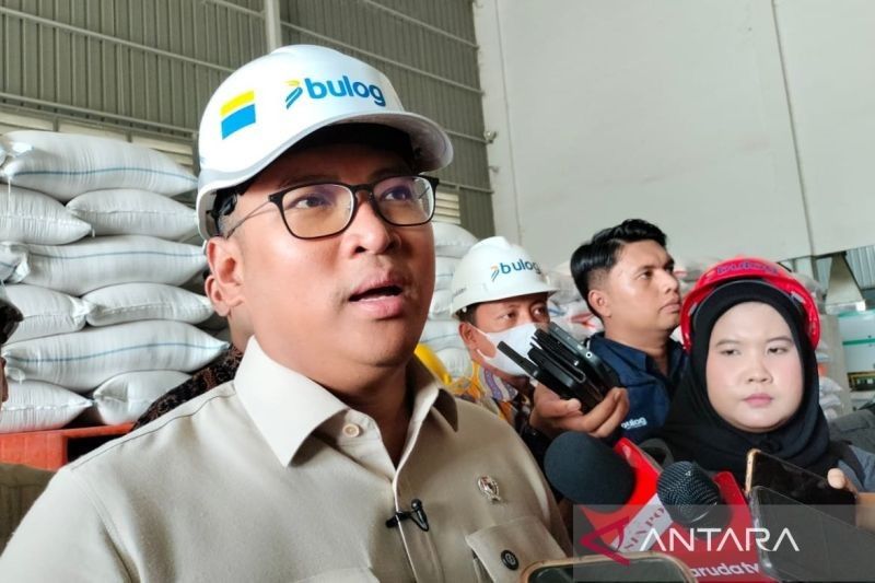 Bulog Fokus Beli Gabah Petani, Dorong Kesejahteraan Petani Indonesia