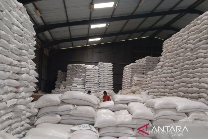 Surplus Beras Indonesia: Wamentan Kaji Bantuan untuk Misi Kemanusiaan Global
