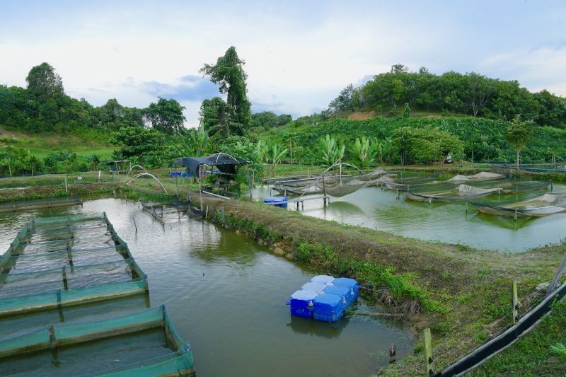 DPR Tekankan Restorasi Ekologis Pascatambang: Pemulihan Lingkungan, Bukan Sekadar Penutupan Lubang