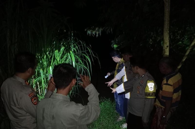 Ibu Rumah Tangga di Tanggamus Diserang Buaya Saat Mandi di Sungai