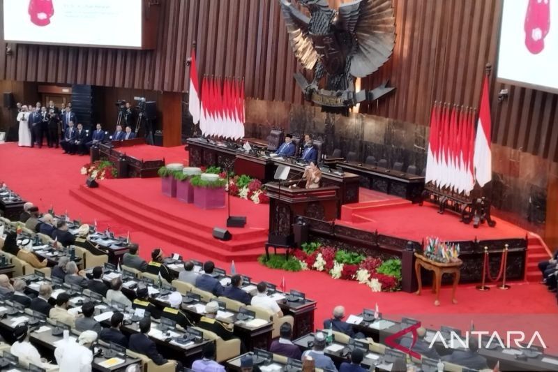 Perdamaian Antar Bangsa: Prasyarat Utama Pembangunan, Kata Puan Maharani