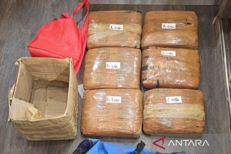 Polda Metro Jaya Gagalkan Peredaran 6 Kg Ganja di Jaktim, Jaringan Sumatera Terungkap?