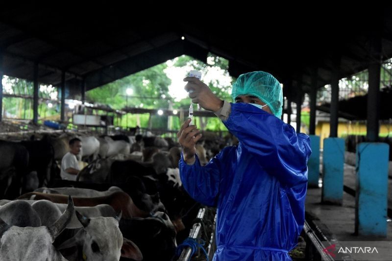 Pemkab Bekasi Kerahkan 36 Petugas Periksa Kesehatan Hewan Kurban Jelang Idul Adha