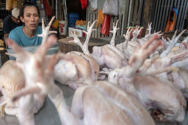 Pemkot Palu Sukses Jaga Stabilitas Harga Bahan Pokok Pasca Lebaran