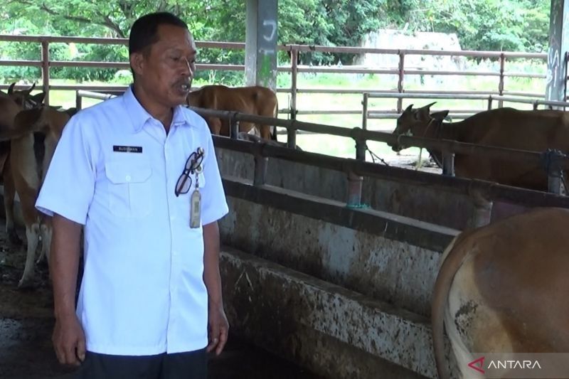 RPH Kendari Siap Jaga Keamanan Daging Kurban Idul Adha 2025