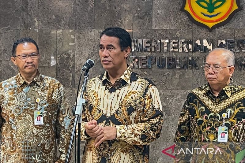 Petani Indonesia Tekan Harga Beras Global, Raih Surplus hingga 3,7 Juta Ton