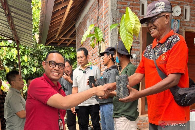 OJK Bali dan Pemkab Jembrana Dorong Ekonomi Daerah lewat Bantuan Bibit Kakao