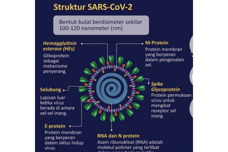 Waspada MERS-CoV! Kemenkes Imbau Jamaah Haji Jaga Kesehatan di Tanah Suci