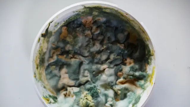 Kenali Ciri-Ciri Makanan yang Sudah Bas, Jangan Sampai Kercacunan