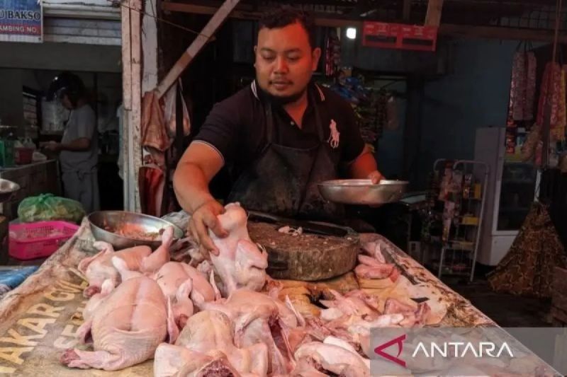 Harga Daging Ayam Naik, Bawang Merah Turun: Bapanas Catat Update Harga Pangan Terbaru