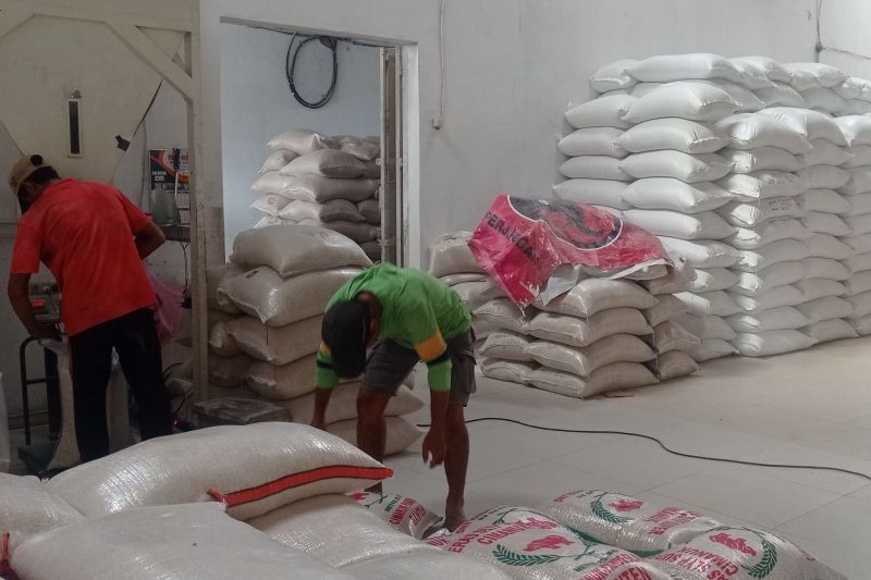 Surplus Beras Lebak Amankan Pasokan Hingga Delapan Bulan ke Depan
