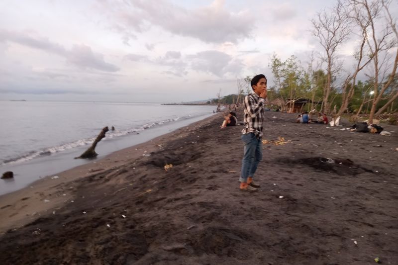 240 Relawan Destana Rawat Ribuan Pohon di Pesisir Mataram