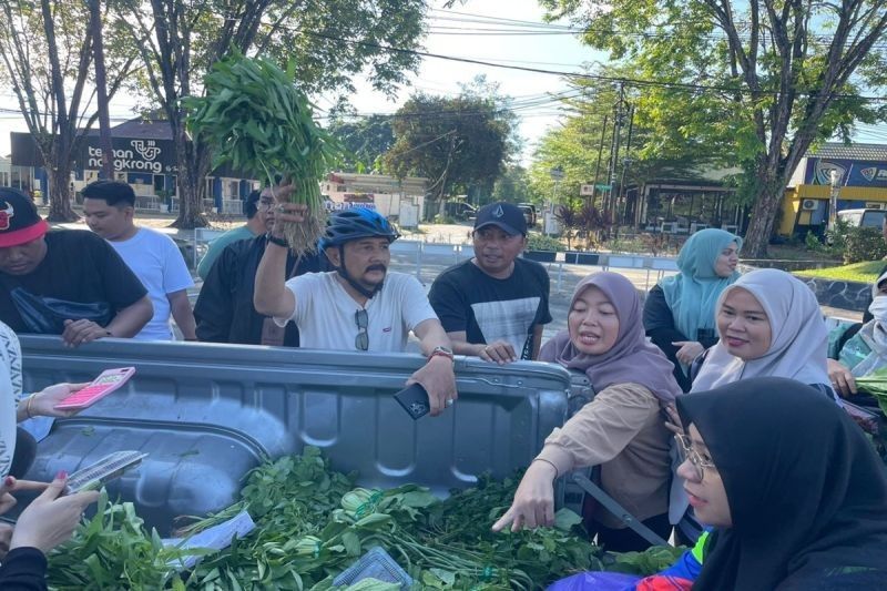 Kalsel Luncurkan Kampanye Gemarikan Mobile: Ikan Segar, Harga Terjangkau!