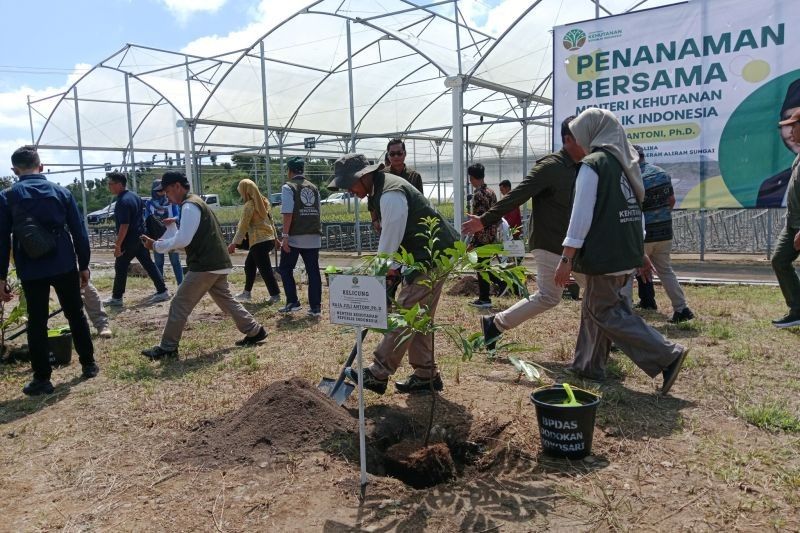 Target Produksi Bibit di Persemaian Mandalika Capai 1,5 Juta Batang pada 2025