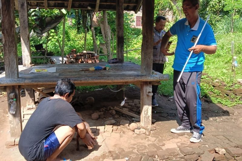 Vaksinasi Darurat Cegah Rabies di Jembrana Pasca Bocah Meninggal