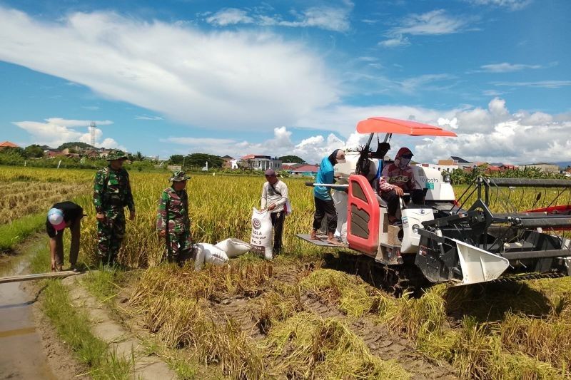 Pupuk Indonesia Pastikan Stok Pupuk Subsidi Aman di Lampung Tengah untuk Musim Tanam 2025