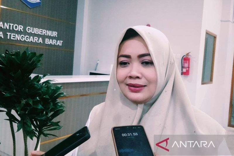 Wagub NTB Dukung Wacana Provinsi Pulau Sumbawa, Moratorium DOB Jadi Kunci