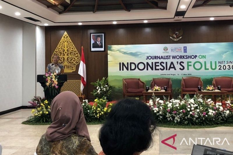 Kemenhut Usung Skenario 'Net Zero' Deforestasi Demi Target Iklim 2030