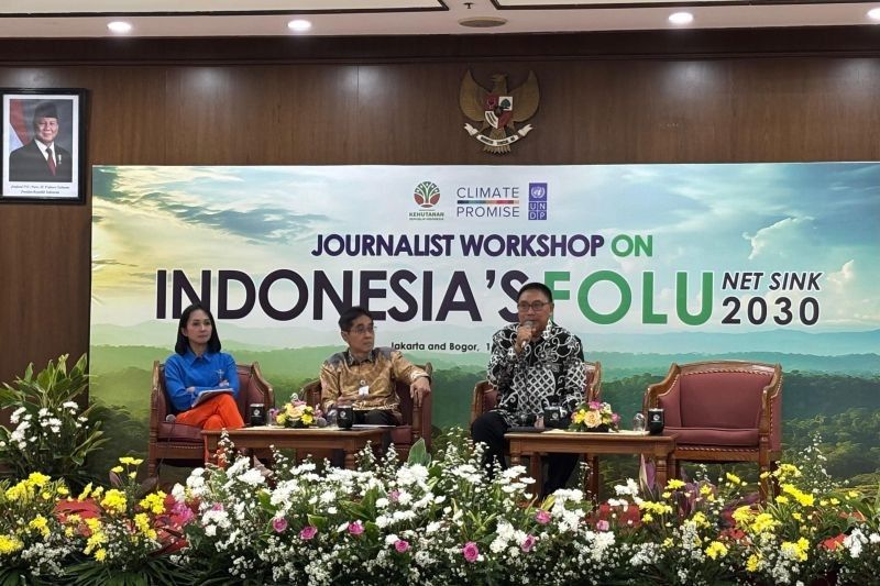 Kemenhut Pastikan Target Ketahanan Pangan Tak Sentuh Hutan Primer