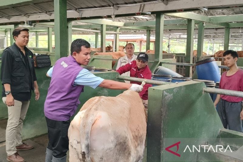 Pemkab Cianjur Larang Pedagang Hewan Kurban Jajakan Dagangan di Pinggir Jalan