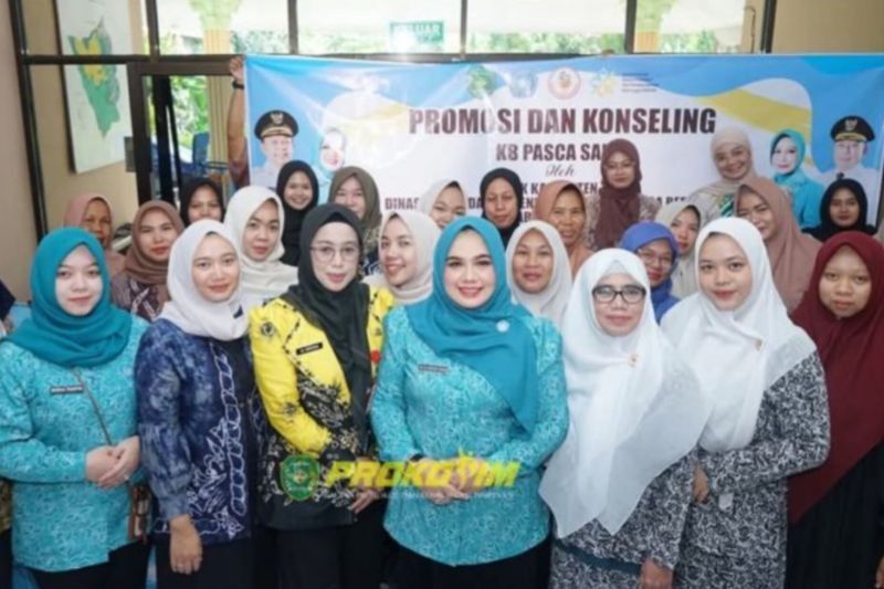 DPPKB Tapin Tekan Risiko Kesehatan Ibu dan Anak Lewat Konseling KB Pasca Persalinan