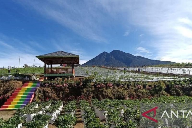 Farenza Garden Merangin: Nominasi API Awards 2025, Harumkan Pariwisata Jambi!
