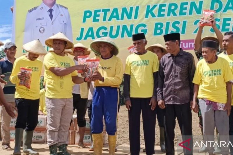 Pemda Muna Barat Tanam Jagung Kuning 1.500 Hektare, Dorong Ketahanan Pangan dan Kesejahteraan Petani