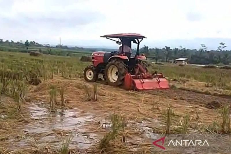 Banjarnegara Kejar Target Luas Tambah Tanam 4.000 Hektare, Tantangan dan Upaya Optimalkan Pertanian