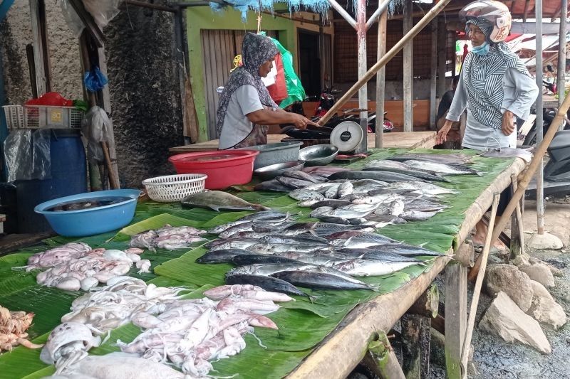 Target Produksi Ikan Lebak Tembus 10.000 Ton, Pendapatan Nelayan Meningkat!