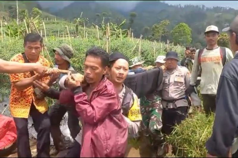 Pendaki Hilang di Gunung Cikuray Ditemukan Selamat!