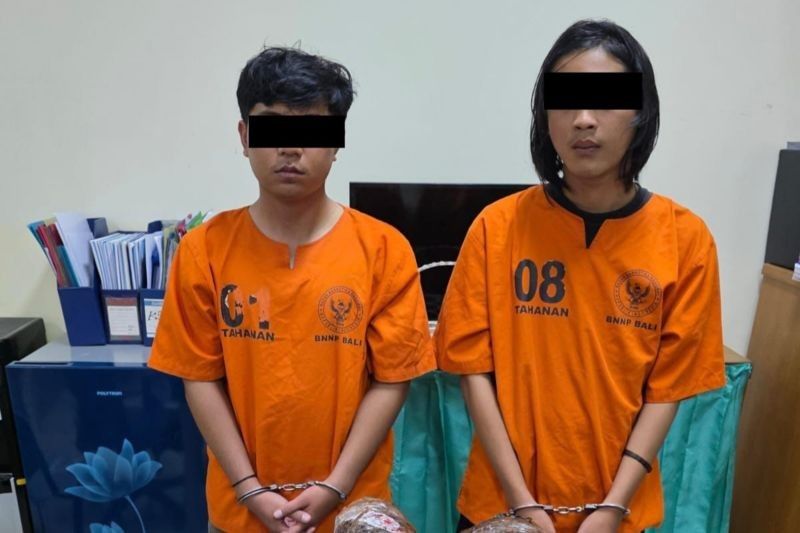 BNNP Bali Gagalkan Transaksi 1,9 Kg Ganja di Pasar Sangsit, Jaringan Sumatera-Bali Terungkap!