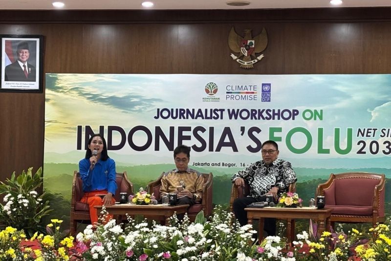 Indonesia-Norwegia Sepakati Pendanaan Rp1 Triliun untuk Tekan Deforestasi