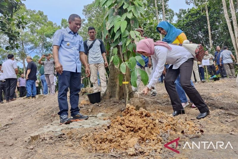 BRIN dan Pemkab Bulungan Kolaborasi Bangun Pusat Konservasi Flora di Kalimantan Utara