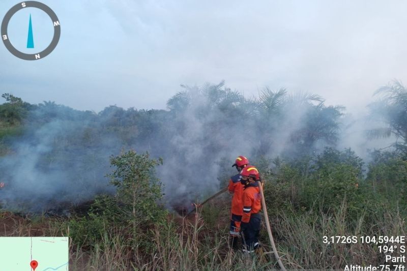 BNPB Padamkan Karhutla di Sumsel dan Kalteng, Waspada Musim Kemarau!