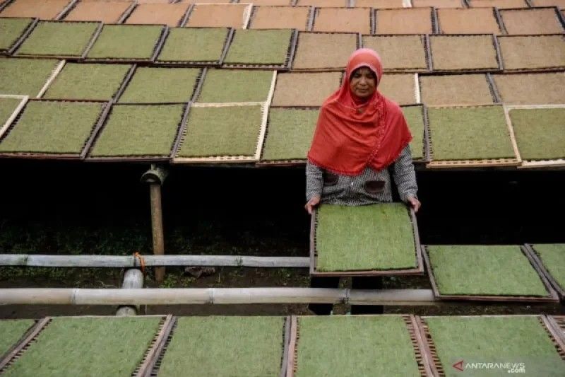 Pemprov Sumsel Revisi UMSP 2025: 9 Sektor Jadi Acuan!