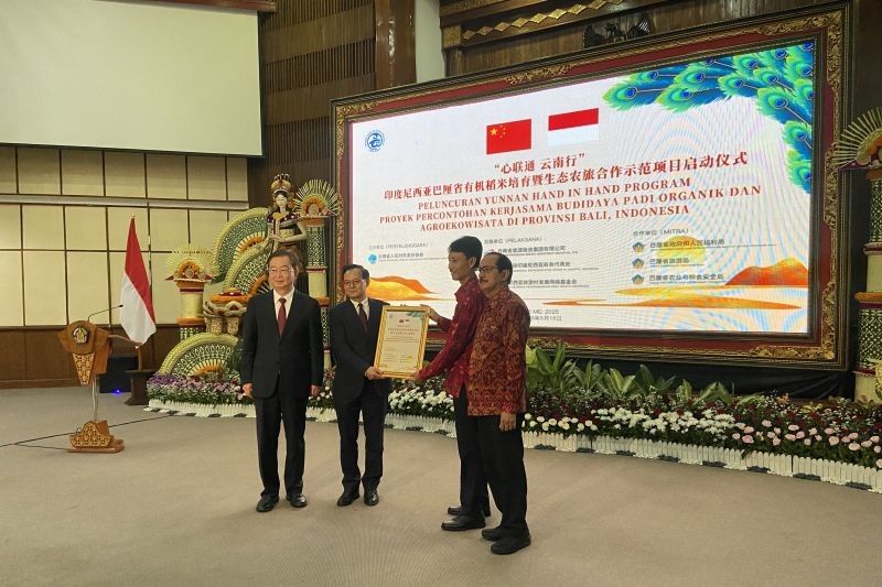 Kerja Sama Pertanian Organik Bali-Yunnan: Desa Senganan Tabanan Jadi Lokasi Agroekowisata