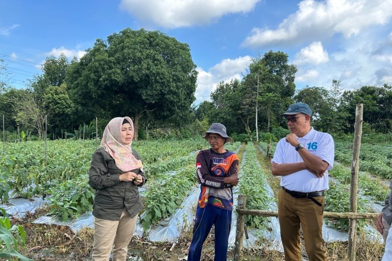 Pertagas Dorong Ekonomi Petani Kalimantan Timur Lewat Program Permata Borneo