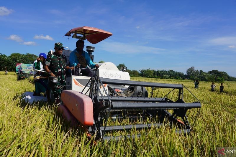 Korem 161/Wira Sakti dan Bulog NTT Sukses Panen Raya Padi di Kupang