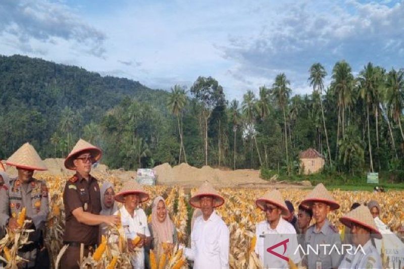 Pemkab Mandailing Natal Dorong Warga Tanam Palawija, Dukung Ketahanan Pangan Nasional
