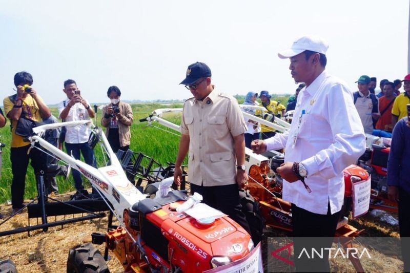 Surplus Gabah Petani Batang Capai 58 Ribu Ton, Dukungan Swasembada Beras Nasional