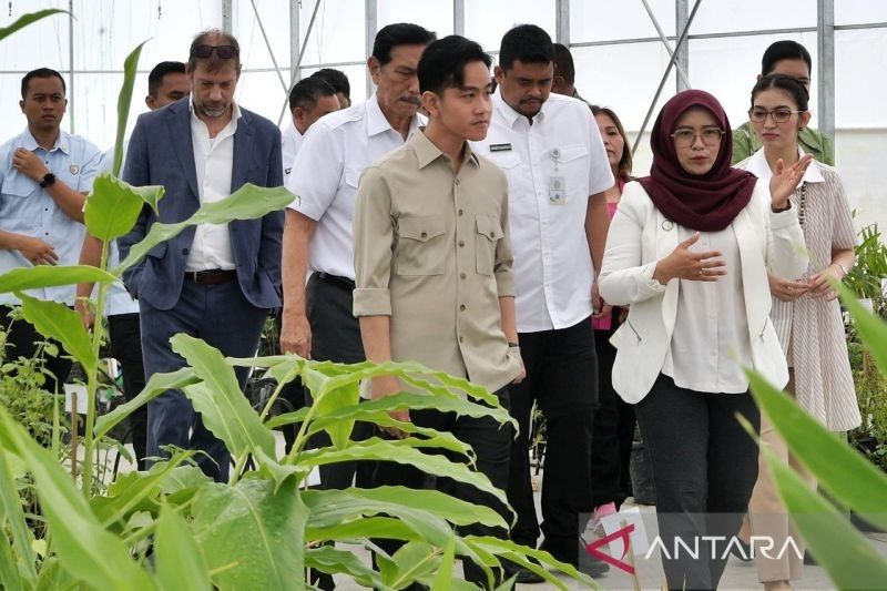 Wakil Presiden Apresiasi Inovasi Produk Herbal di TSTH2 Humbang Hasundutan