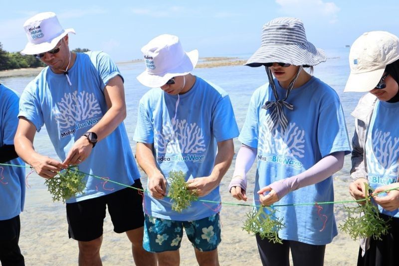 Midea Tanam 1000 Koral dan Rumput Laut di Pulau Tidung, Dukung Lingkungan Berkelanjutan