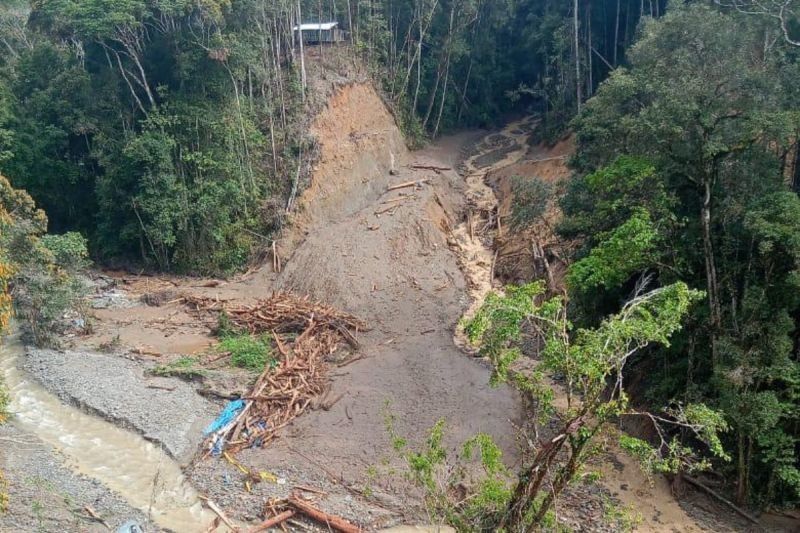 Basarnas Cari 19 Warga Hilang Akibat Banjir Bandang di Pegunungan Arfak
