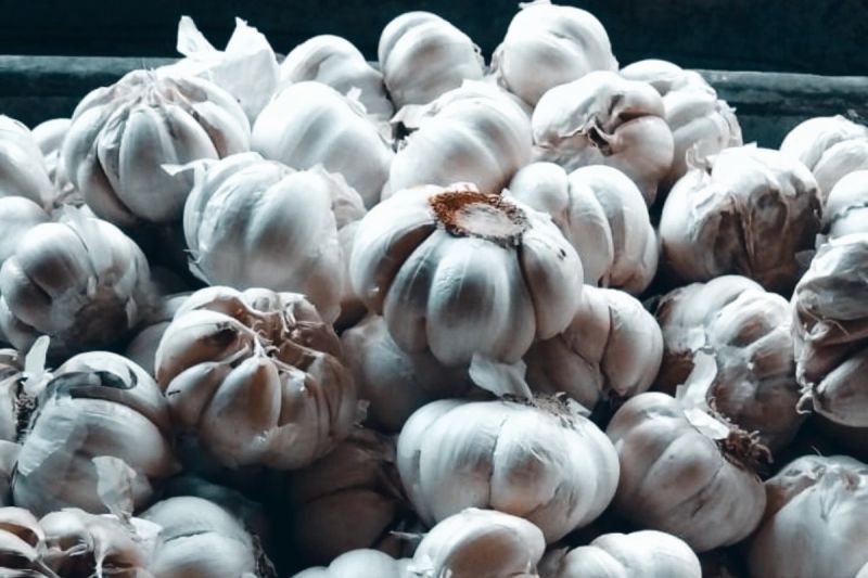 Pemkab Biak Pastikan Stok Bahan Pokok Idul Adha Aman, Harga Tetap Stabil
