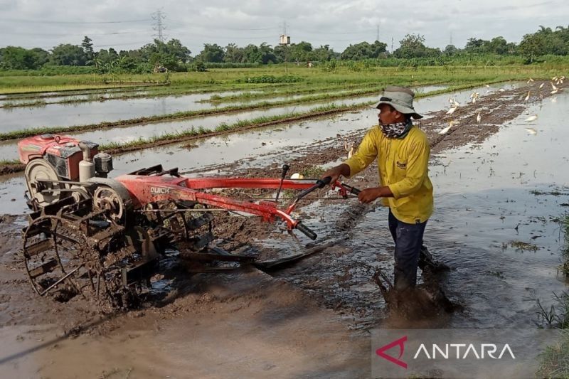 Bantul Percepat Swasembada Pangan: Distribusi Alsintan Digenjot!