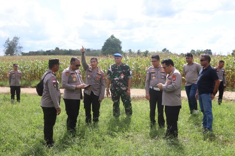 Presiden Prabowo Diharapkan Hadiri Panen Raya Jagung di Bengkayang, Kalbar