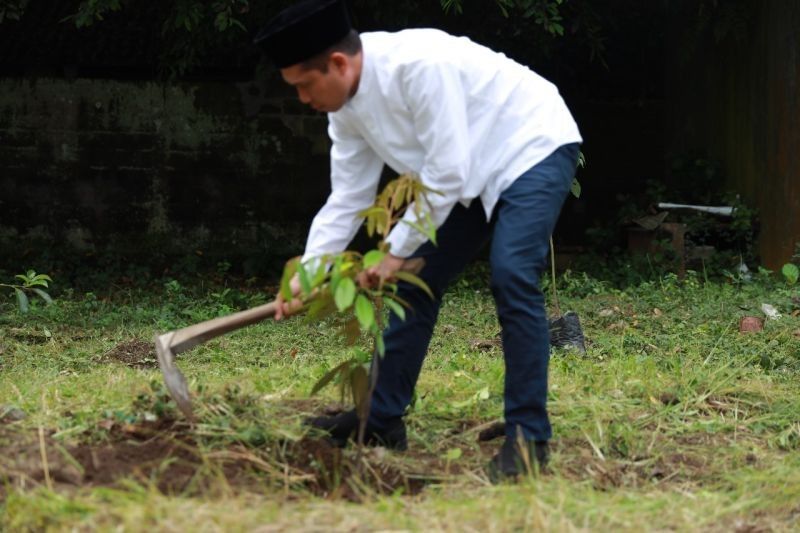 PLN Tanam Pohon di Jember dan Kediri: Komitmen Hijau untuk Masa Depan Indonesia